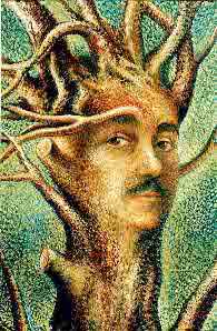 Solarialbero.jpg (102942 byte)